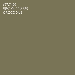 #7A7456 - Crocodile Color Image