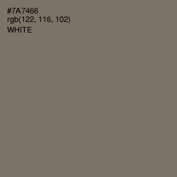 #7A7466 - Limed Ash Color Image