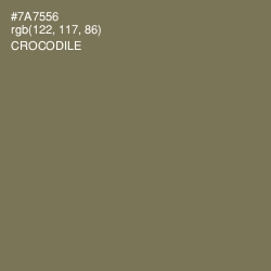 #7A7556 - Crocodile Color Image