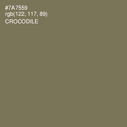 #7A7559 - Crocodile Color Image