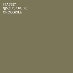 #7A7657 - Crocodile Color Image