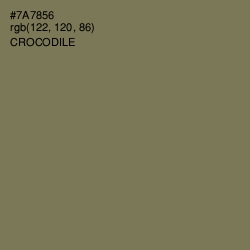 #7A7856 - Crocodile Color Image