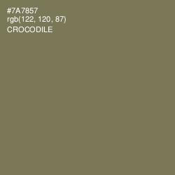 #7A7857 - Crocodile Color Image