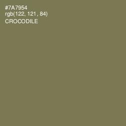 #7A7954 - Crocodile Color Image