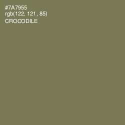 #7A7955 - Crocodile Color Image