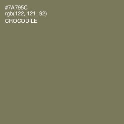 #7A795C - Crocodile Color Image