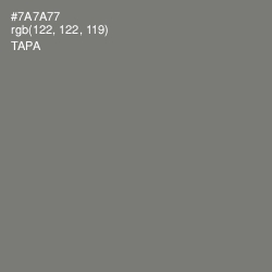 #7A7A77 - Tapa Color Image