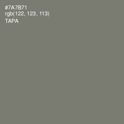 #7A7B71 - Tapa Color Image
