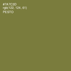 #7A7C3D - Pesto Color Image