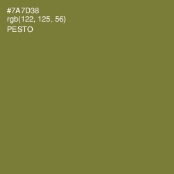 #7A7D38 - Pesto Color Image