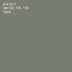 #7A7D71 - Tapa Color Image