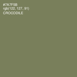 #7A7F5B - Crocodile Color Image