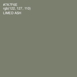 #7A7F6E - Limed Ash Color Image