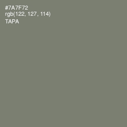 #7A7F72 - Tapa Color Image