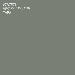 #7A7F76 - Tapa Color Image