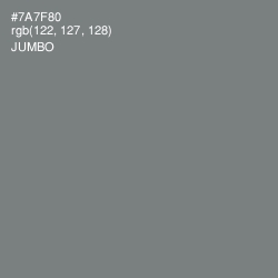 #7A7F80 - Jumbo Color Image