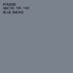 #7A828E - Blue Smoke Color Image