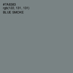 #7A8383 - Blue Smoke Color Image