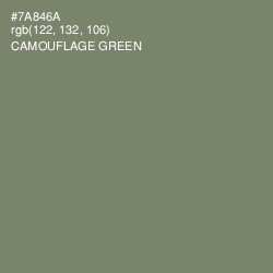 #7A846A - Camouflage Green Color Image