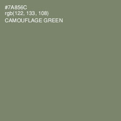 #7A856C - Camouflage Green Color Image