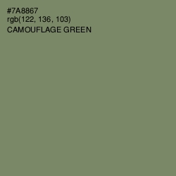 #7A8867 - Camouflage Green Color Image