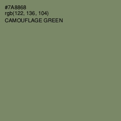 #7A8868 - Camouflage Green Color Image