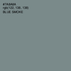 #7A8A8A - Blue Smoke Color Image