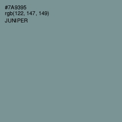 #7A9395 - Juniper Color Image