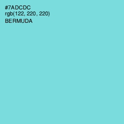 #7ADCDC - Bermuda Color Image