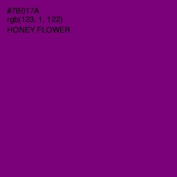 #7B017A - Honey Flower Color Image