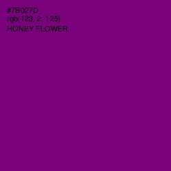 #7B027D - Honey Flower Color Image