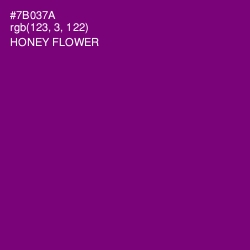 #7B037A - Honey Flower Color Image