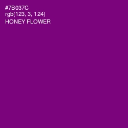 #7B037C - Honey Flower Color Image
