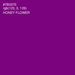 #7B037E - Honey Flower Color Image