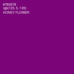 #7B0578 - Honey Flower Color Image