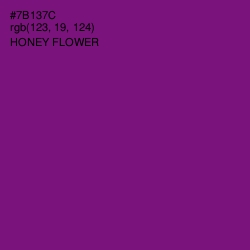#7B137C - Honey Flower Color Image