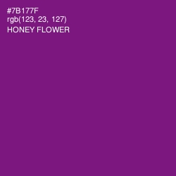 #7B177F - Honey Flower Color Image