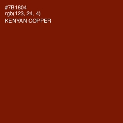 #7B1804 - Kenyan Copper Color Image
