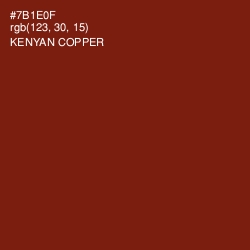 #7B1E0F - Kenyan Copper Color Image