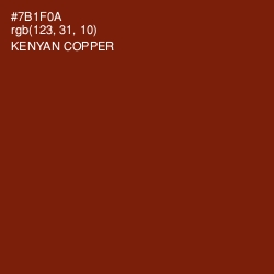 #7B1F0A - Kenyan Copper Color Image