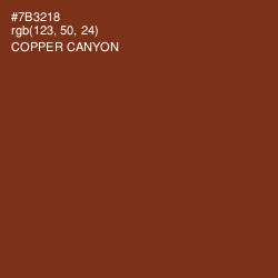 #7B3218 - Copper Canyon Color Image
