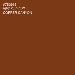 #7B3915 - Copper Canyon Color Image