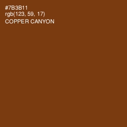 #7B3B11 - Copper Canyon Color Image