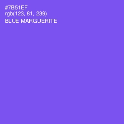 #7B51EF - Blue Marguerite Color Image