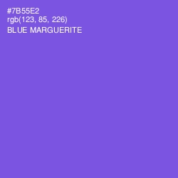 #7B55E2 - Blue Marguerite Color Image