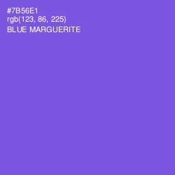 #7B56E1 - Blue Marguerite Color Image