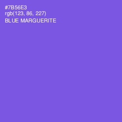 #7B56E3 - Blue Marguerite Color Image