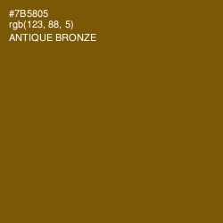 #7B5805 - Antique Bronze Color Image