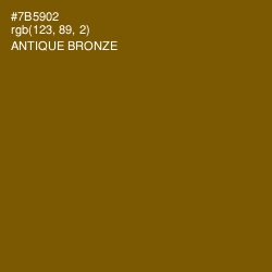 #7B5902 - Antique Bronze Color Image