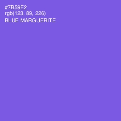 #7B59E2 - Blue Marguerite Color Image